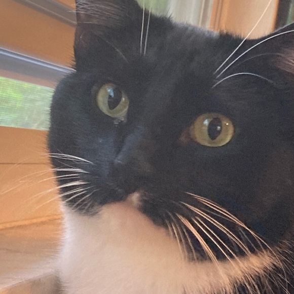 HANDMADE SHARE SHOW. DO NOT BID - Picture 9 of 14